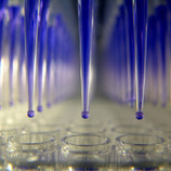 Lab_testing_dr_v Lab_testing_dr_v